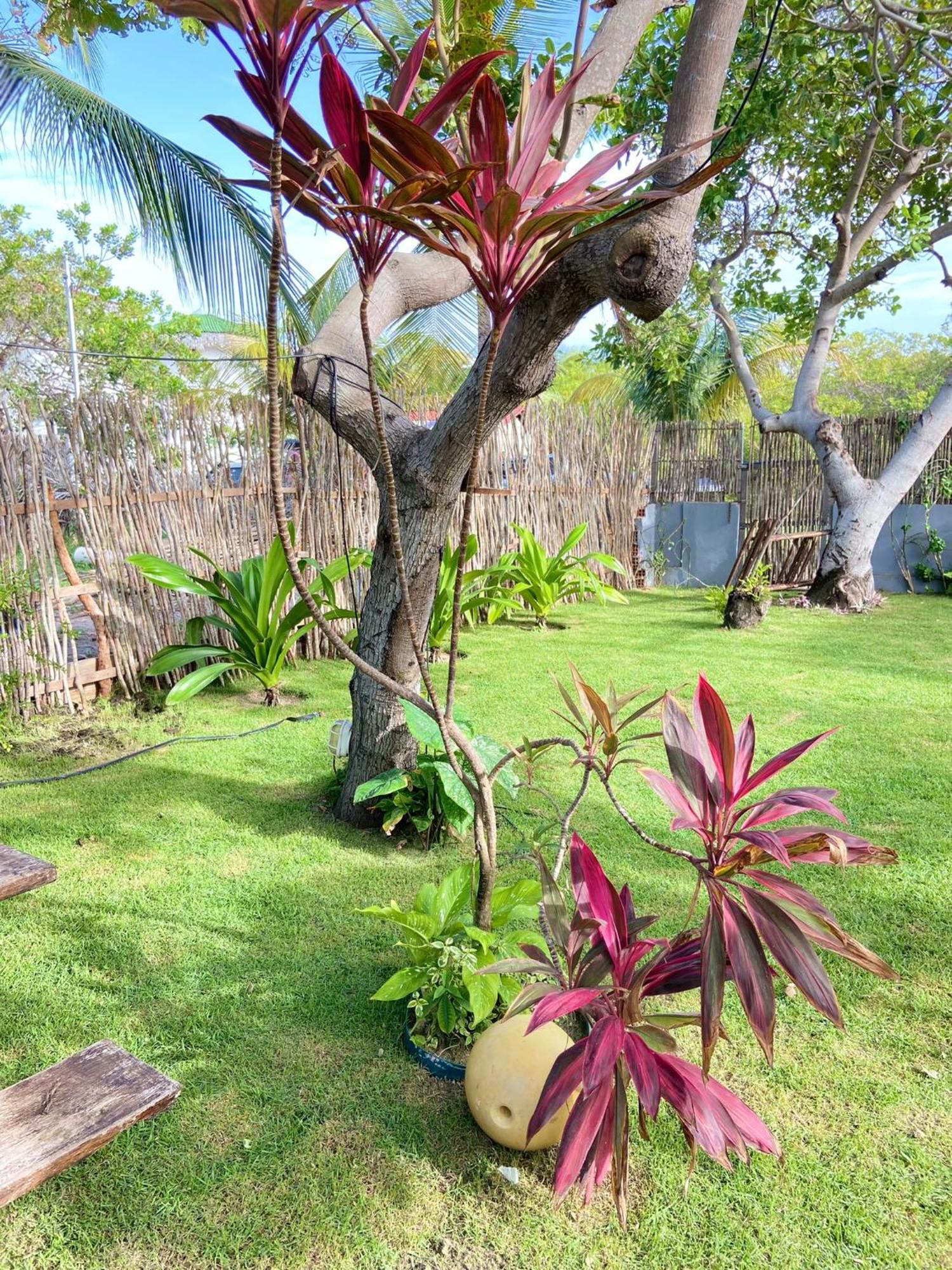 Ricatins Bed & Breakfast Exterior photo