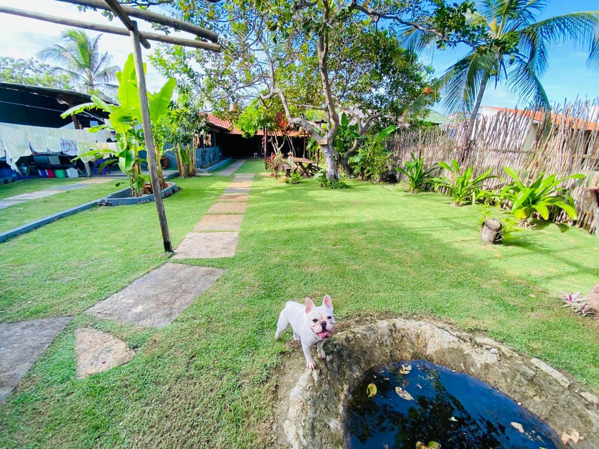 Ricatins Bed & Breakfast Exterior photo